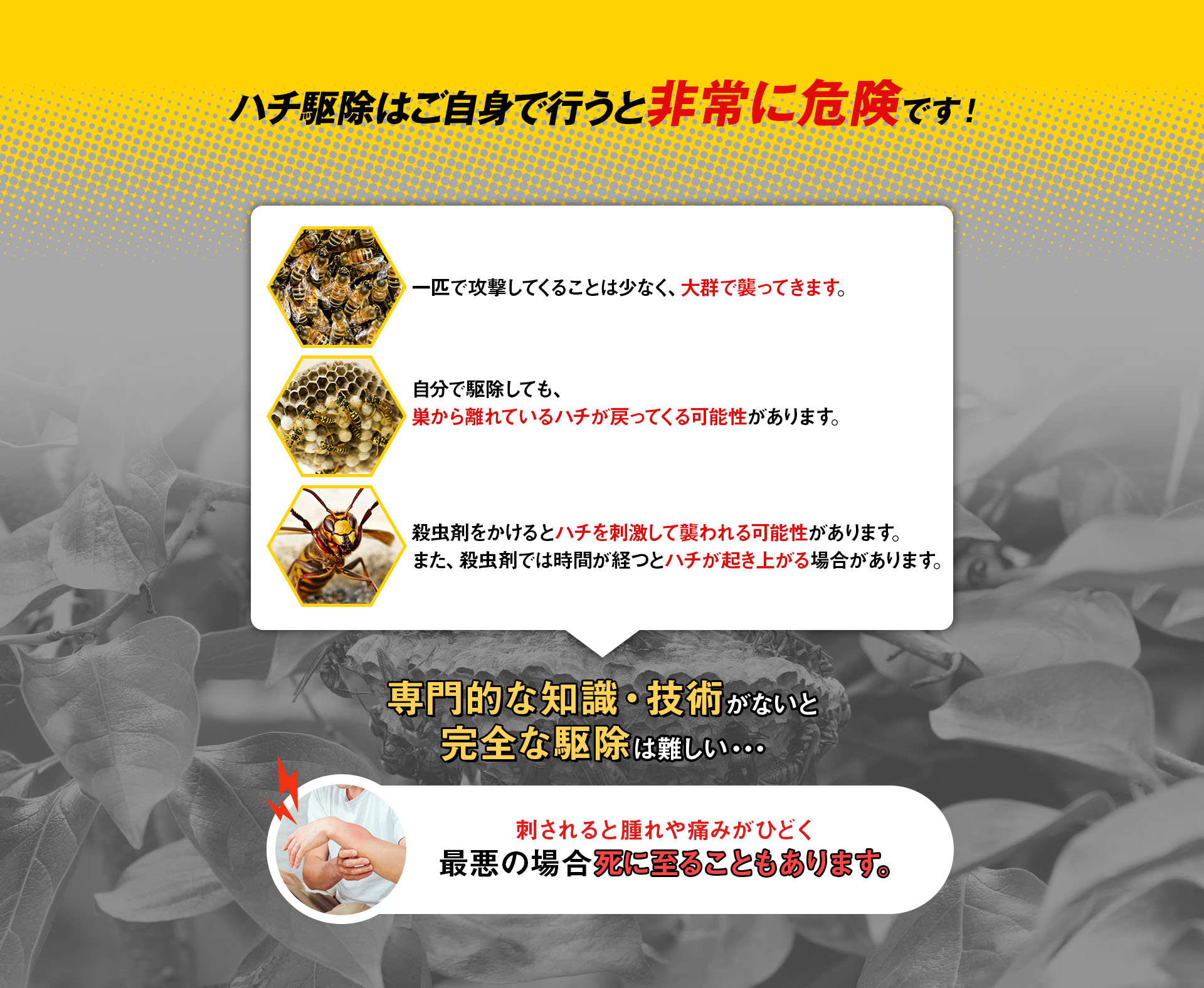 ハチ駆除はご自身で行うと非常に危険です。