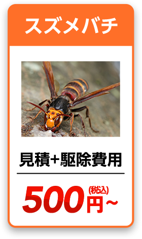 スズメバチ　見積り＋駆除費用＝880円~