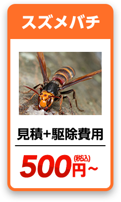 スズメバチ　見積り＋駆除費用＝880円~