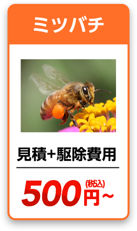 ミツバチ　見積り＋駆除費用＝880円~