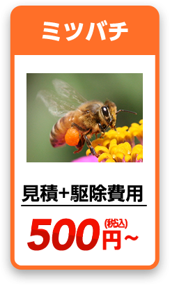 ミツバチ　見積り＋駆除費用＝880円~