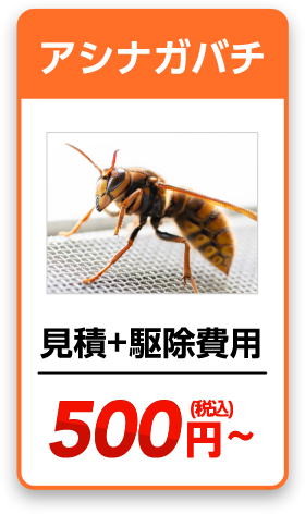 アシナガバチ　見積り＋駆除費用＝880円~